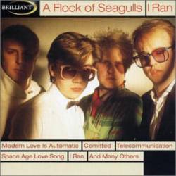 A Flock Of Seagulls : I Ran